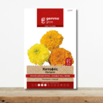 sporoi-katifes-psilos-diplos-migma-tagetes-erecta-anthoforia-greenculture