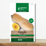 sporoi-kolokytha-glykia-butternut-soypsες-gourmet-mageiriki-greenculture