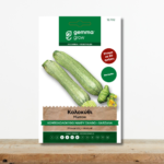 sporoi-kolokythi-makry-xantho-kompokolokytho-alberello-di-sarzana-greenculture