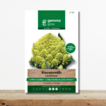sporoi-kounoupidi-opsimo-koniko-romanesco-natalino-ypsili-diatrofiki-axia-greenculture