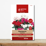 sporoi-kyklamino-gigas-persias-migma-cyclamen-persicum-glastra-xeimonas-greenculture
