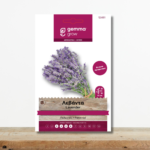 sporoi-levanta-lavandula-spica-aromatiko-fyto-lila-anthi-greenculture