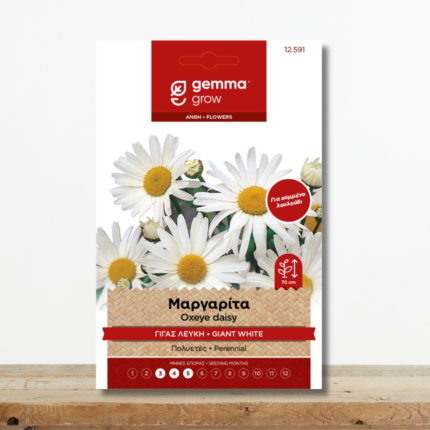 sporoi-margarita-gigas-leyki-chrysanthemum-leucanthemum-polyetes-louloydi-greenculture