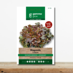 sporoi-marouli-katsaro-kokkino-biscia-rossa-looseleaf-greenculture