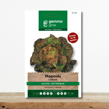 sporoi-marouli-salata-violeti-meraviglia-delle-quattro-stagioni-butterhead-greenculture