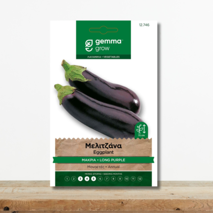 sporoi-melitzana-makria-violetta-lunga-2-solanum-melongena-greenculture