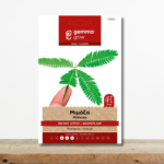 sporoi-mimoza-mi-mou-aptou-mimosa-pudica-futa-pou-kinountai-greenculture