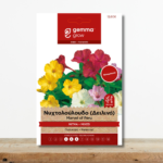 sporoi-nychto-louloydo-mirabilis-jalapa-aromatiko-futo-deilino-greenculture