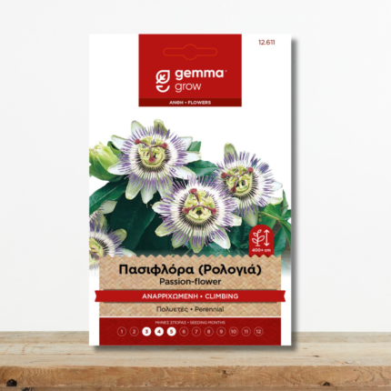 sporoi-pasiflora-rologia-passiflora-coerulea-anarrichomeno-eksotiko-greenculture