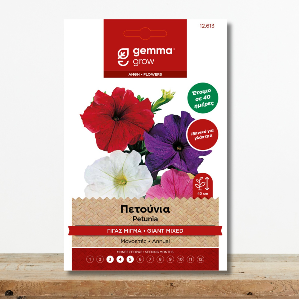 Σπόροι Πετούνια Γίγας Μίγμα Petunia hybrida Έκρηξη Χρωμάτων σε 40 Ημέρες Green Culture sporoi-petounia-gigas-migma-petunia-hybrida-grigori-anthoforia-greenculture