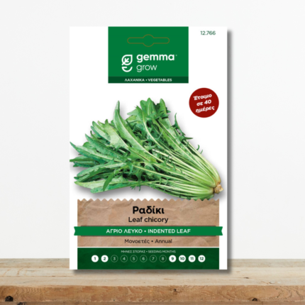 sporoi-radiki-agrio-leyko-catalogna-frastagliata-grigori-sygkomidi-greenculture