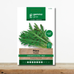 sporoi-roka-stenofylli-agria-diplotaxis-muralis-pikanthiki-geysi-greenculture