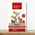 sporoi-strelitsia-pouli-tou-paradeisou-strelitzia-reginae-exotiko-fyto-greenculture