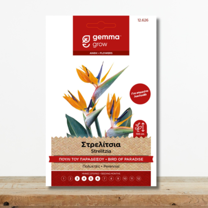 sporoi-strelitsia-pouli-tou-paradeisou-strelitzia-reginae-exotiko-fyto-greenculture