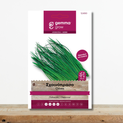 sporoi-schoinopraso-chives-allium-schoenoprasum-myrodiko-glastra-greenculture