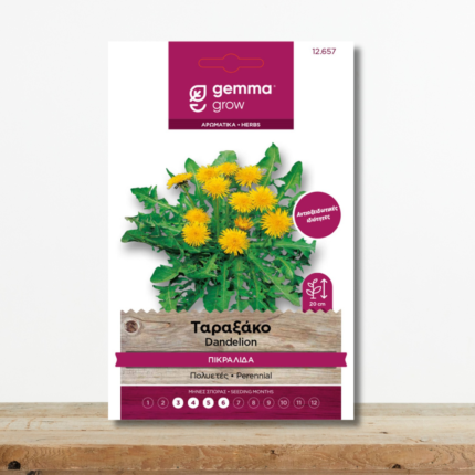 sporoi-taraxako-agrioradiko-taraxacum-officinale-antioxeidotiko-votano-greenculture