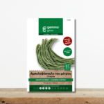 sporoi-fasoli-ampelofasoulo-tou-metrou-anarrixomeno-kokkinos-sporos-greenculture