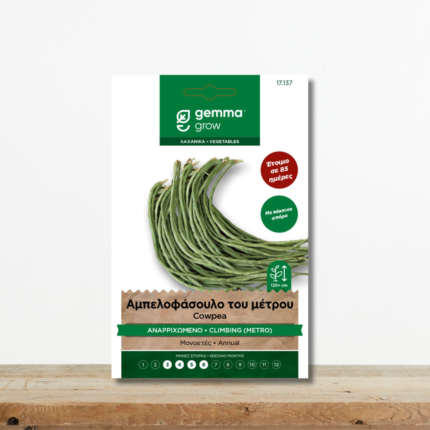 sporoi-fasoli-ampelofasoulo-tou-metrou-anarrixomeno-kokkinos-sporos-greenculture