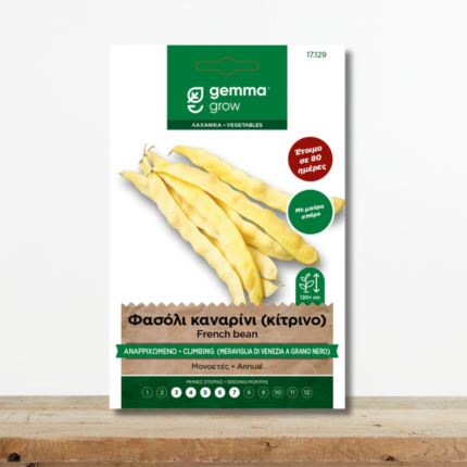 sporoi-fasoli-kanarini-kitrino-anarrichomeno-meraviglia-di-venezia-greenculture