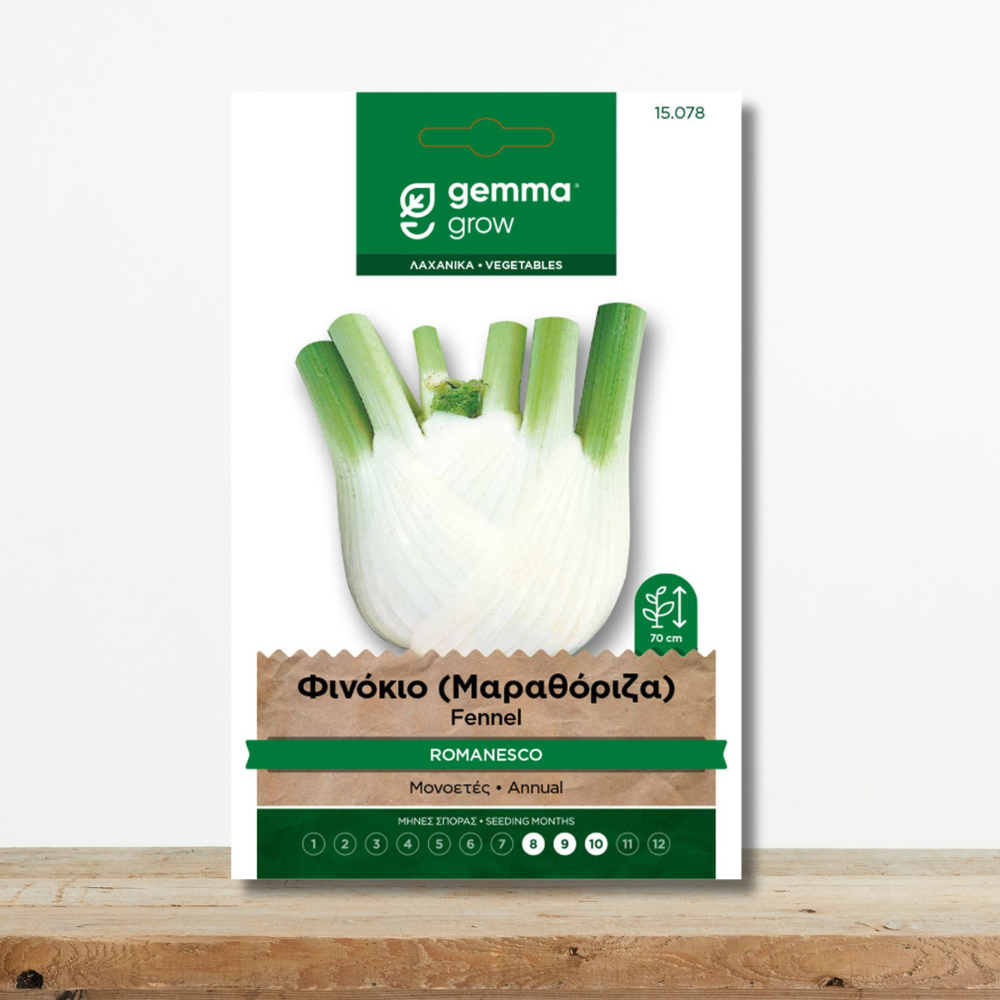 Σπόροι Φινόκιο Romanesco (Μαραθόριζα) Μεγάλη & Σφαιρική Ρίζα Green Culture sporoi-finokio-romanesco-marathoriza-aromatiki-riza-gemma-greenculture