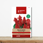 sporoi-fotia-psili-salvia-splendens-kokkino-anthos-mpornntoura-greenculture