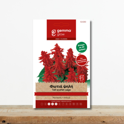 sporoi-fotia-psili-salvia-splendens-kokkino-anthos-mpornntoura-greenculture