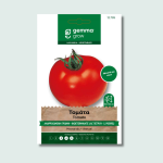 Τομάτα Αγίου Πέτρου αναρριχώμενη πρώιμη