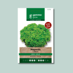 Μαρούλι λόλα