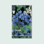 Aγάπανθος Blue