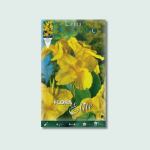 Κάννα Richard Wallace