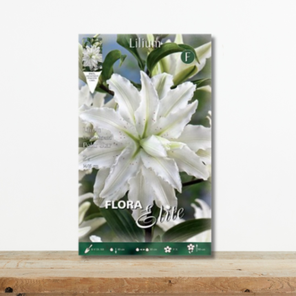 lilium-oriental-diplo-polar-star-leyko-aromatiko-krino-volvos-greenculture