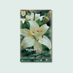 Λίλιουμ Ασιάτικα