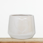 leyko-keramiko-kaspw-amor-kaktakia-greenculture