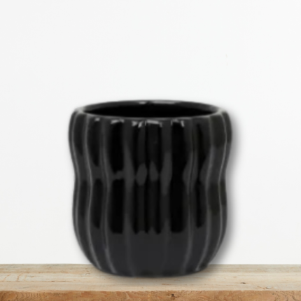 mayro-keramiko-kaspw-bento-midnight-black-kaktakia-greenculture