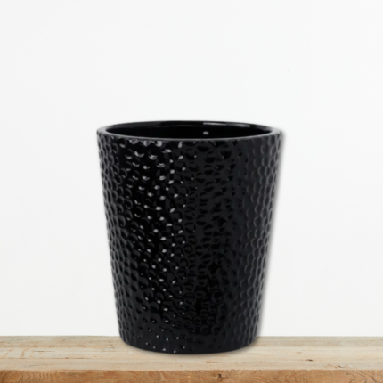 mayro-keramiko-kaspw-tuna-orxidees-greenculture