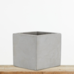 tsimentenios-kyvos-gkri-kaspw-paxyfyta-greenculture