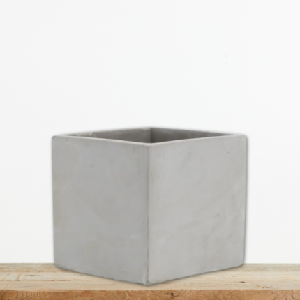 tsimentenios-kyvos-gkri-kaspw-paxyfyta-greenculture